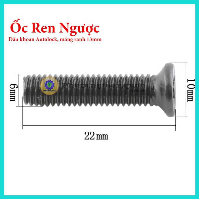 Ốc Ren Ngược 6mm Sử Dụng Cho Đầu Khoan 13mm Autolock, Đầu khoan Măng ...