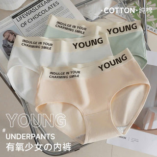 COMBO 10 QUẦN LÓT COTTON CẠP CHỮ 290