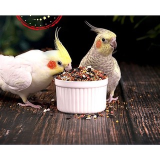 Hạt Trộn Cho Chim Cảnh Vẹt Lẻ 1/2.5/5kg - Lovebird/Yến Phụng/Cockatiel, Túi Niêm Phong