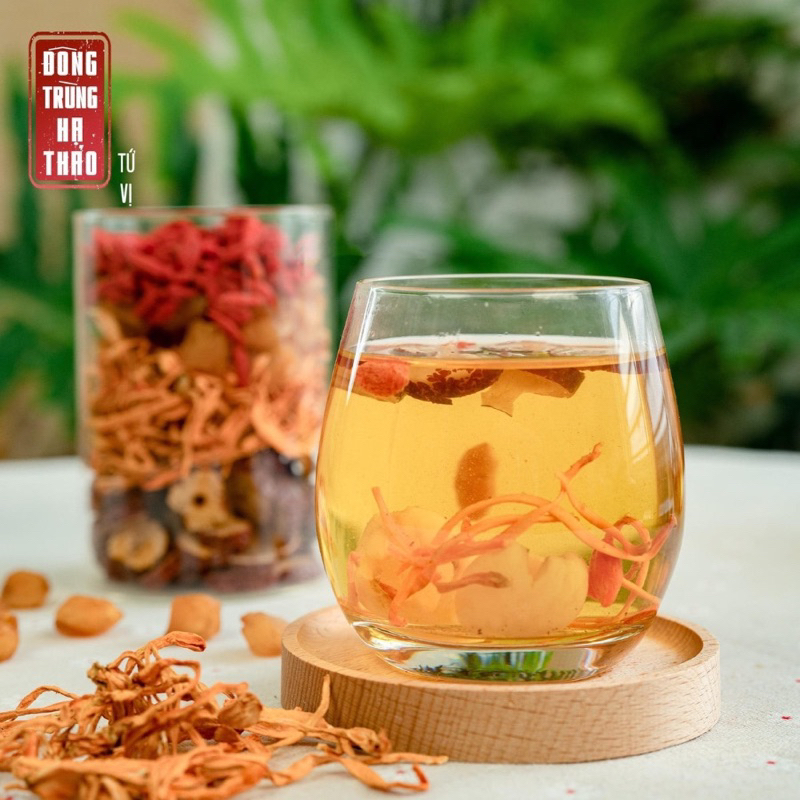 Ảnh Trà đông trùng hạ thảo long nhãn tứ vị Camifarm đẹp da, bồi bổ sức khỏe, tăng cường sinh lý, dễ ngủ 4