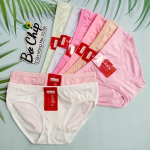 Quần Lót Nữ Cotton Thái Cotton Mềm Mịn Size 40-50 ký [ Mã 9976] - Bơ Chip Women