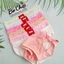 Quần Lót Nữ Cotton Thái Cotton Mềm Mịn Size 40-50 ký [ Mã 9976] - Bơ Chip Women