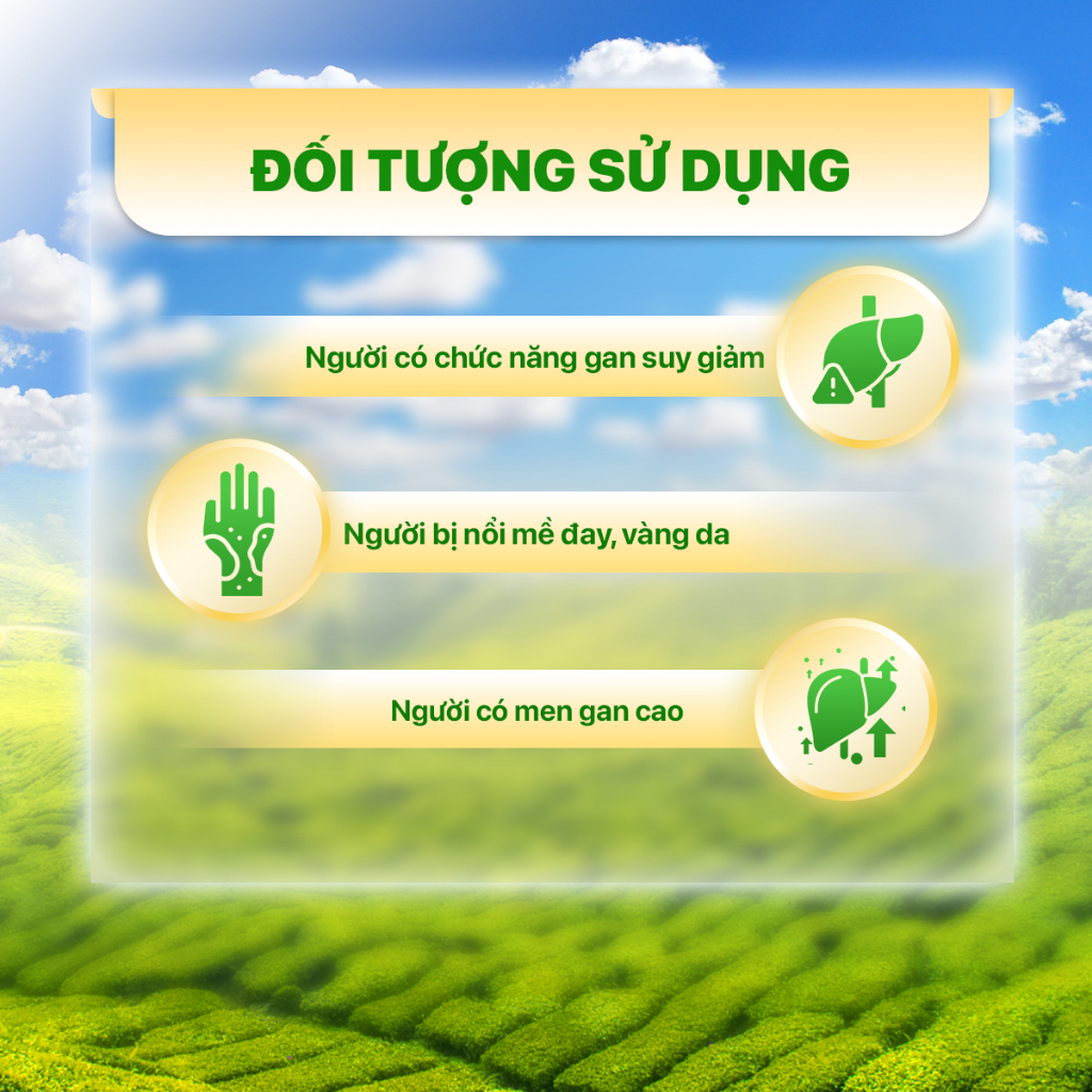 Trà ATISO túi lọc Ladophar (hàng chính hãng) đặc sản Đà Lạt | Shopee Việt  Nam