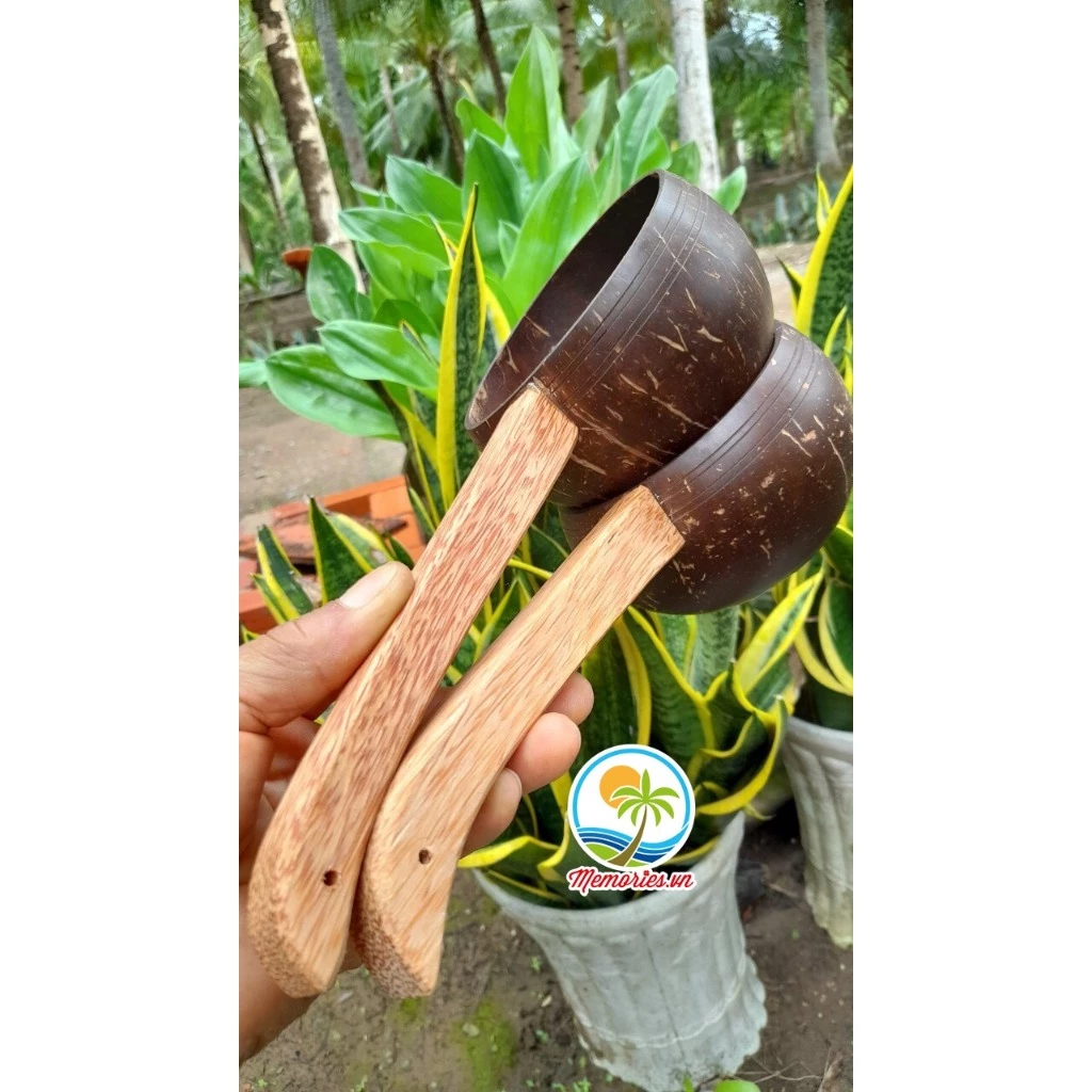 Gáo dừa múc nước viền hoa văn dùng gội đầu, phụ kiện trang trí, spa, decor, tưới cây, cống tắm phật