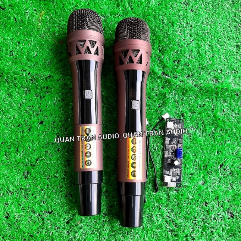 Micro Loa Kéo Q36 không dây, Sét tần số | Shopee Việt Nam