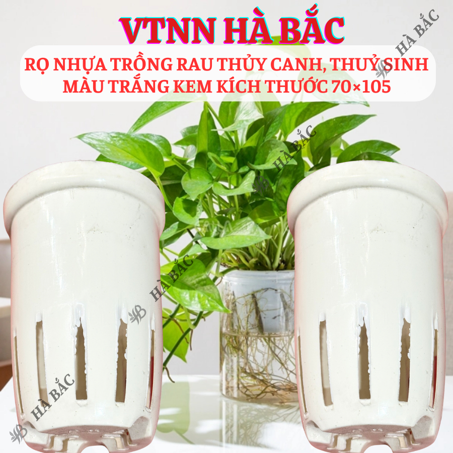 [COMBO 2 CÁI] Rọ nhựa trồng rau thủy canh 70×105mm, trồng thủy sinh, màu trắng kem