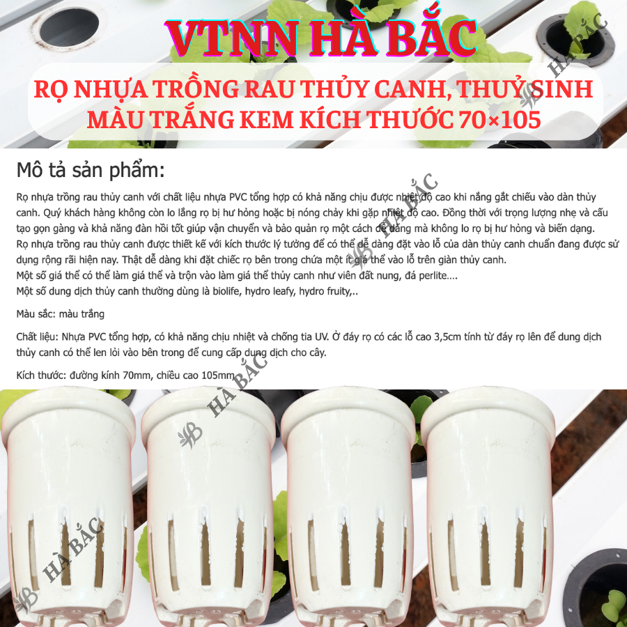 [COMBO 2 CÁI] Rọ nhựa trồng rau thủy canh 70×105mm, trồng thủy sinh, màu trắng kem