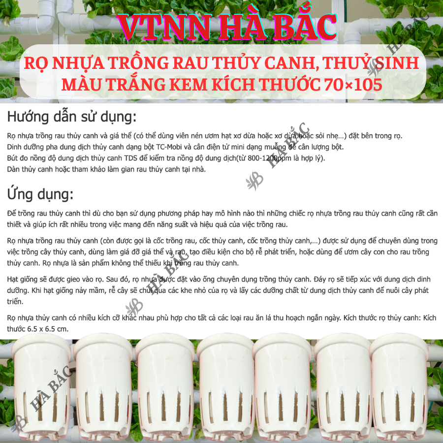 [COMBO 2 CÁI] Rọ nhựa trồng rau thủy canh 70×105mm, trồng thủy sinh, màu trắng kem