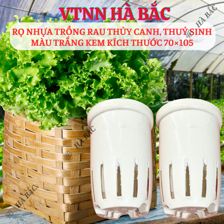 [COMBO 2 CÁI] Rọ nhựa trồng rau thủy canh 70×105mm, trồng thủy sinh, màu trắng kem