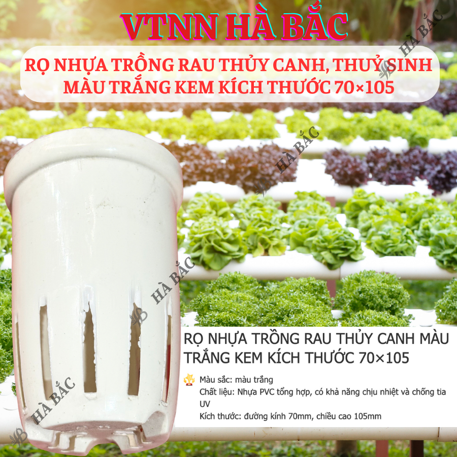 [COMBO 2 CÁI] Rọ nhựa trồng rau thủy canh 70×105mm, trồng thủy sinh, màu trắng kem