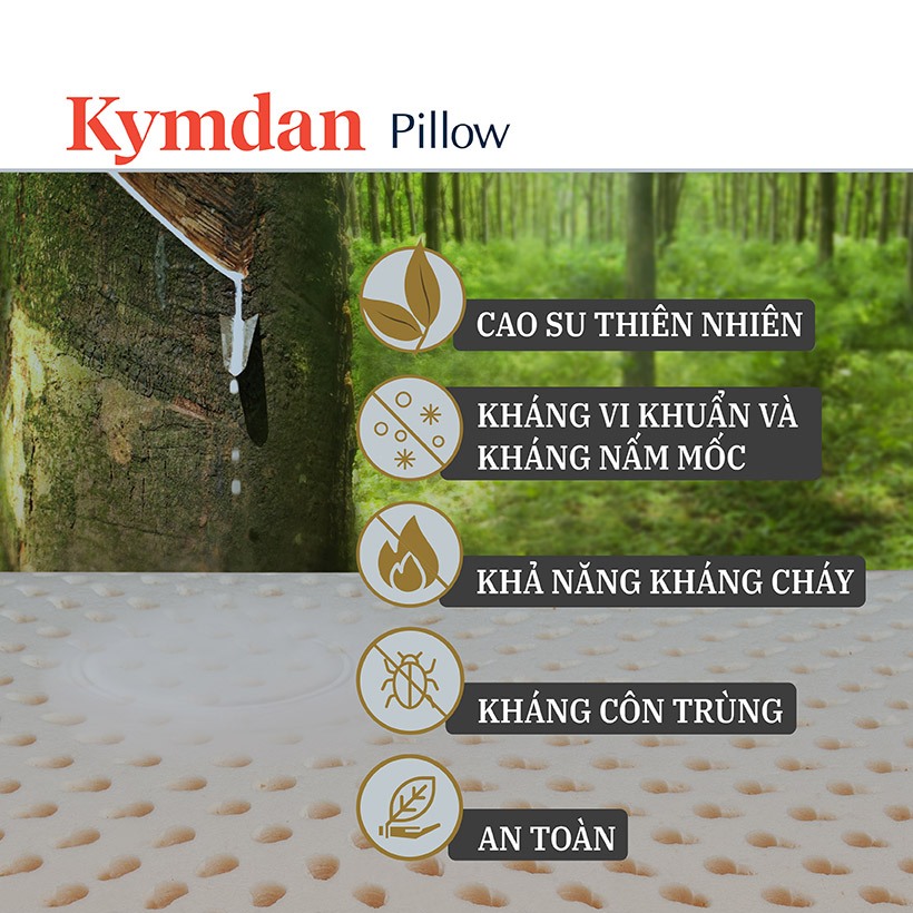 Ảnh Gối cao su thiên nhiên Kymdan Pillow LumbarLatex Travel 1