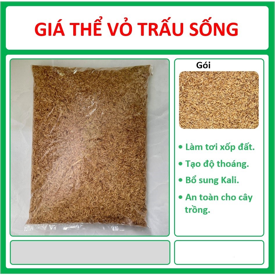 Trấu Sống -Gói 5dm3 - Trộn Đất Trồng Cây Trong Chậu