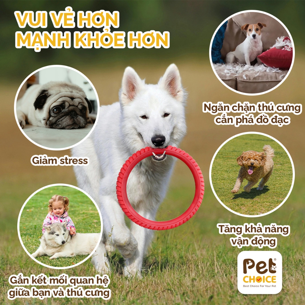 Vòng ném cao su huấn luyện chó nhựa dẻo TPR an toàn, đồ chơi cho thú cưng nhai gặm sạch răng