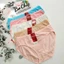 Quần Lót Bigsize 65-75kg, Quần Chip Cotton Thái Thấm Hút Mồ hôi Thoáng Mát 3014 - Bơ Chip