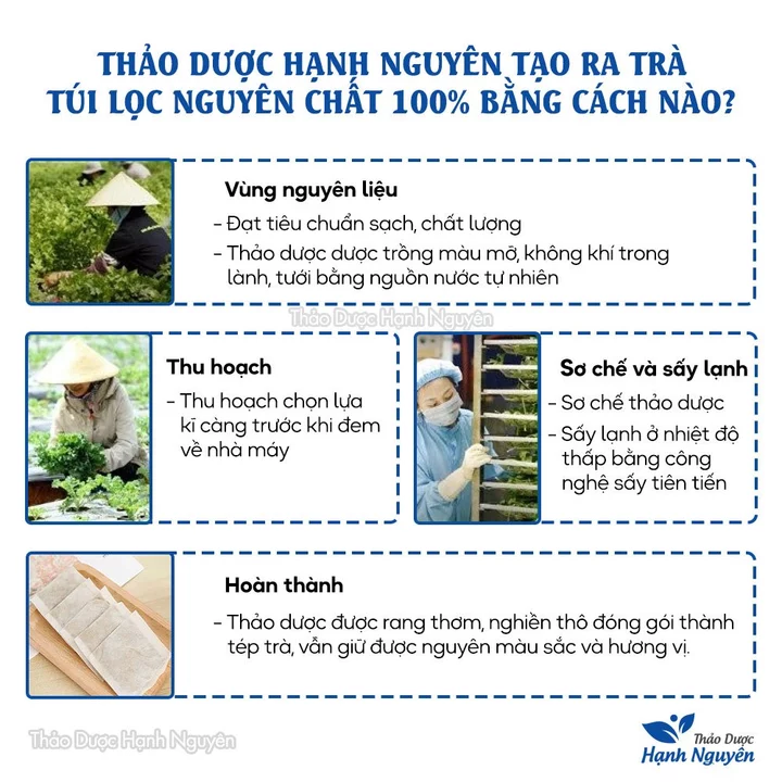 Tea – 6