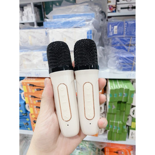 Loa Koller 882 - Tặng Kèm 2 Micro Không Dây Cao Cấp