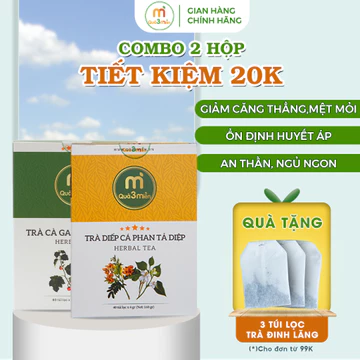 2 Hộp Trà Cà Gai Leo Xạ Đen và Trà Diếp Cá Phan Tả Diệp hộp 60 túi thương hiệu Quà 3 Miền