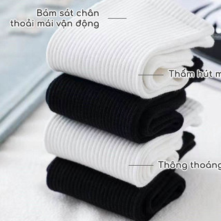 Sét 10 đôi Tất Vớ  Trắng Đen Thể Thao Cổ Ngắn Cổ Trung Cổ Cao Nam Nữ Vải Dệt Kim