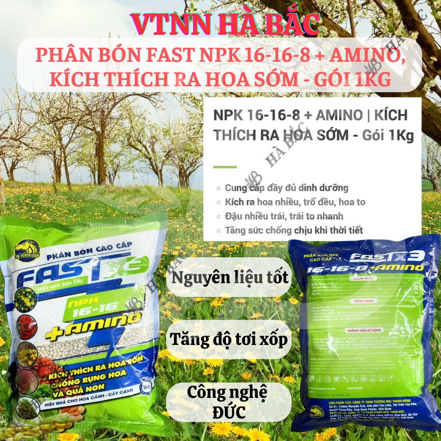 Phân Bón Fast NPK 16-16-8 + Amino, Kích Thích Ra Hoa Sớm - Gói 1KG