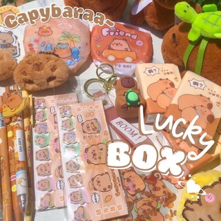 Lucky Box Capybara Túi Pack Test Nhân Phẩm Hộp Mù Blind Kiểm Tra Độ May Mắn Giá Rẻ Timo SQ1-22