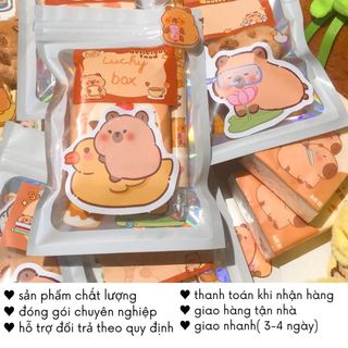 Lucky Box Capybara Túi Pack Test Nhân Phẩm Hộp Mù Blind Kiểm Tra Độ May Mắn Giá Rẻ Timo SQ1-22