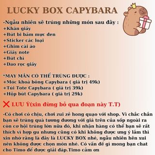 Lucky Box Capybara Túi Pack Test Nhân Phẩm Hộp Mù Blind Kiểm Tra Độ May Mắn Giá Rẻ Timo SQ1-22