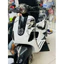 Tem Vespa LX rồng
