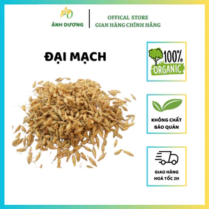 Đại Mạch, Lúa Mạch, Mạch Nha Hàng Nguyên, Sạch, Đẹp