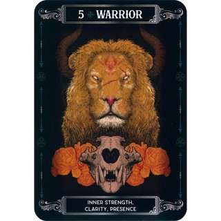 Bộ Bài Earth and Bone Oracle (Mystic House Tarot Shop) - Bài Gốc Authentic Chính Hãng 100%
