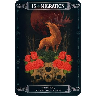 Bộ Bài Earth and Bone Oracle (Mystic House Tarot Shop) - Bài Gốc Authentic Chính Hãng 100%