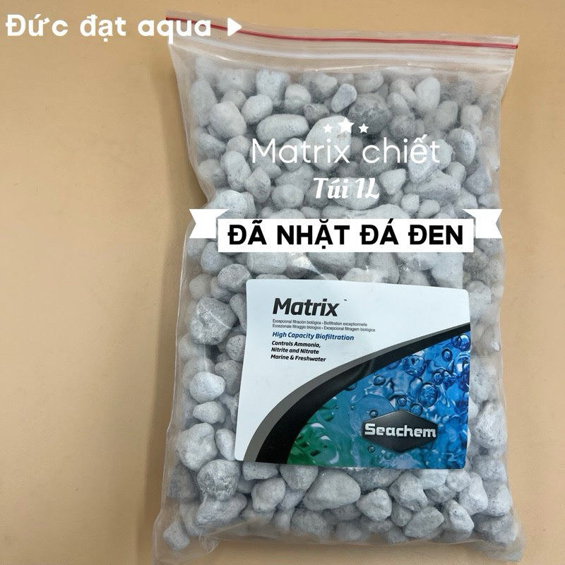 Lọc Treo SunSun YBF-500 YBG-300 YBG400 YBG500 YBG600 - thế hệ mới thiết kế sang trọng có tách phân cao cấp 6