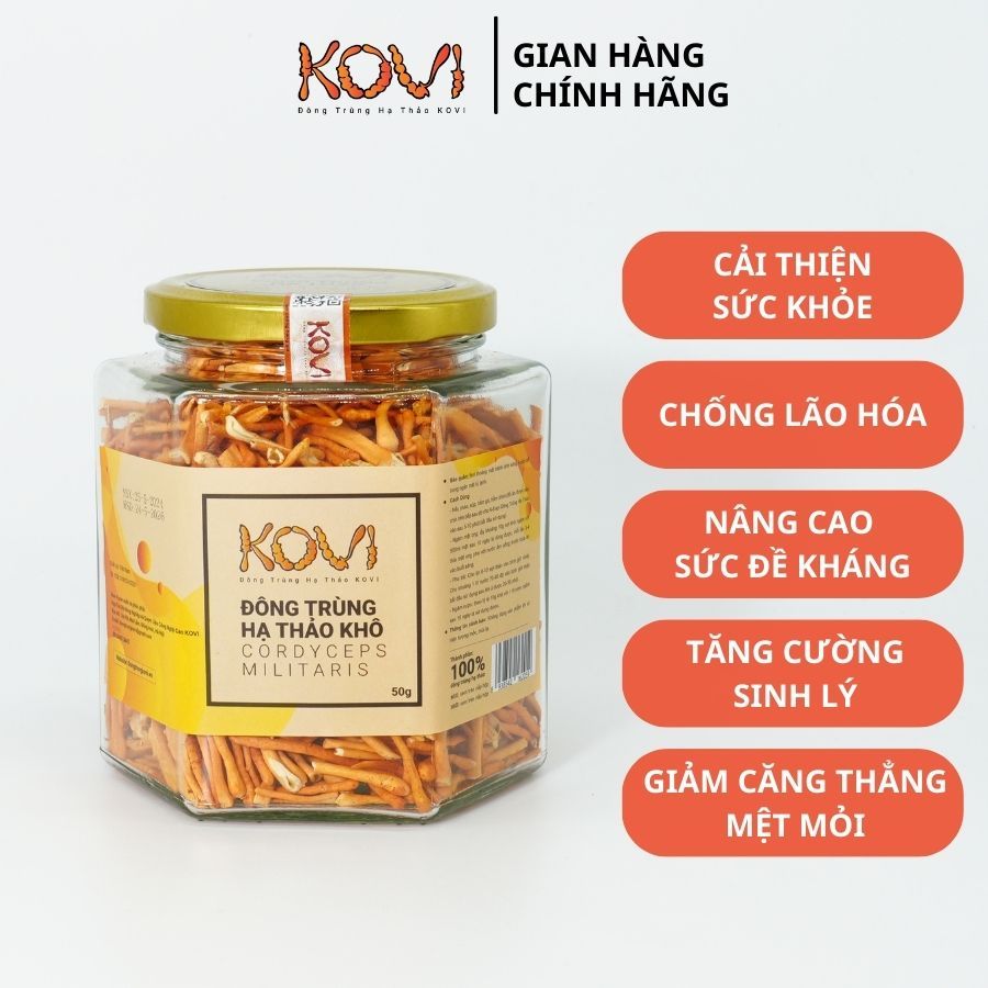Đông trùng hạ thảo KOVI sấy khô thăng hoa KOVI 50g | Hàng Vip 1 Đạt Ocop 4 Sao
