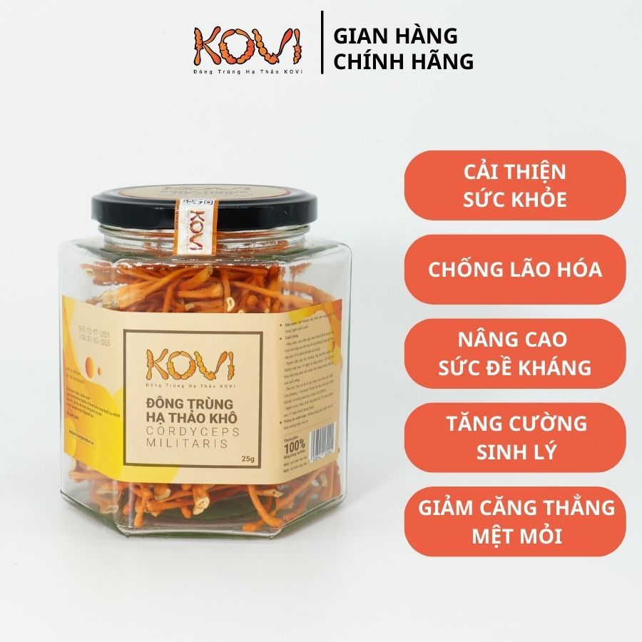 Đông trùng hạ thảo KOVI sấy khô thăng hoa 25g | Hàng Vip 1