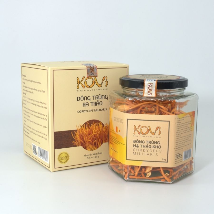 Đông trùng hạ thảo KOVI sấy khô thăng hoa 25g | Hàng Vip 1