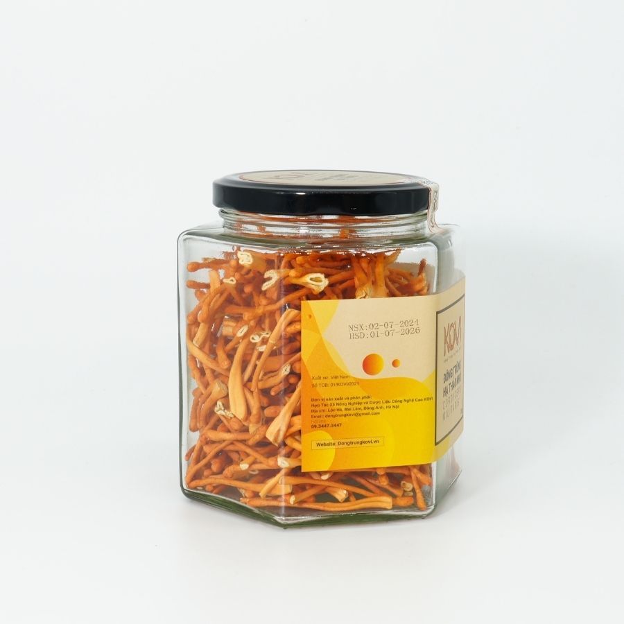 Đông trùng hạ thảo KOVI sấy khô thăng hoa 25g | Hàng Vip 1