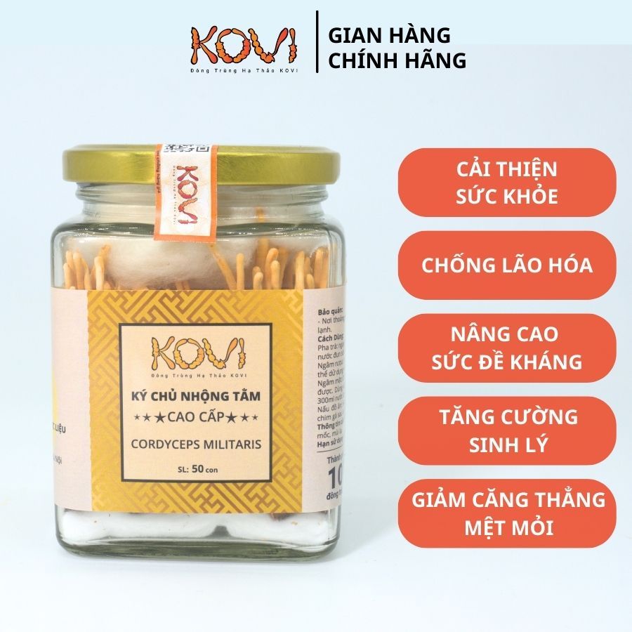 Đông trùng hạ thảo KOVI ký chủ nhộng tằm nguyên con - Lọ  50 con - Hàng VIP 1 Đạt chuẩn OCOP 4*