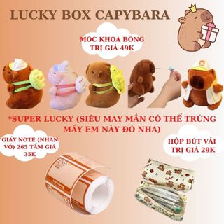 Lucky Box Capybara Túi Pack Test Nhân Phẩm Hộp Mù Blind Kiểm Tra Độ May Mắn Giá Rẻ Timo SQ1-22