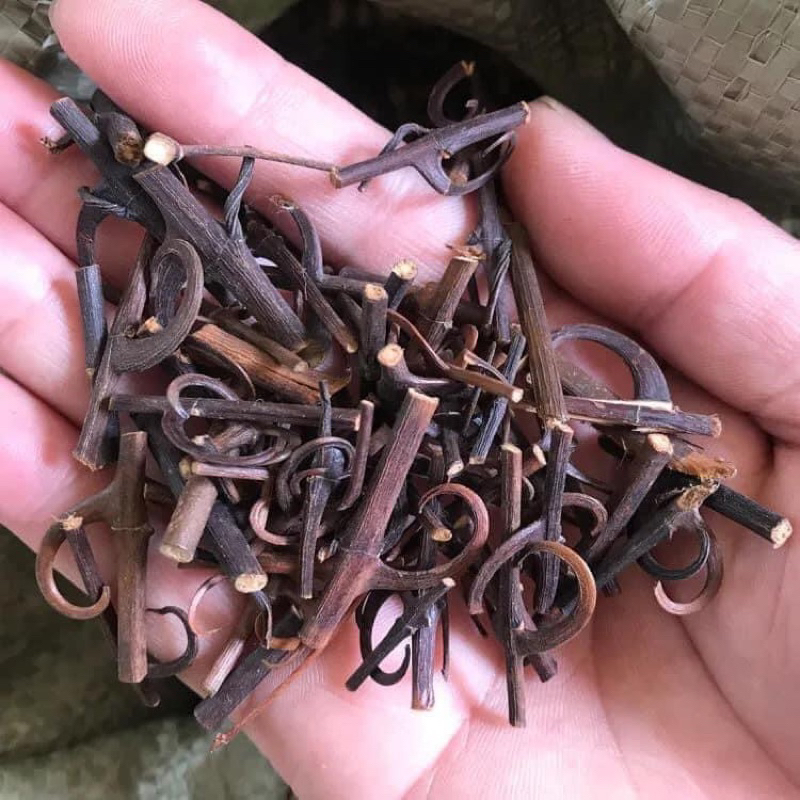 500GR Câu Đằng Khô, Sạch, Đẹp Hàng Loại 1