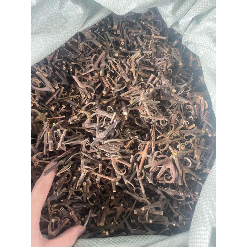 500GR Câu Đằng Khô, Sạch, Đẹp Hàng Loại 1