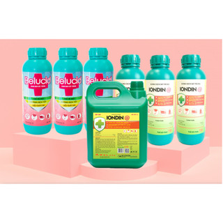 VB Pharma dung dịch Belucid khử trùng chuồng trại dụng cụ chai 1 lít