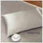 Trọn Bộ Chăn Ga Gối Lụa LS Lavish Silk Cao Cấp Mát Lạnh Hàng Loại 1 - Bạch Kim