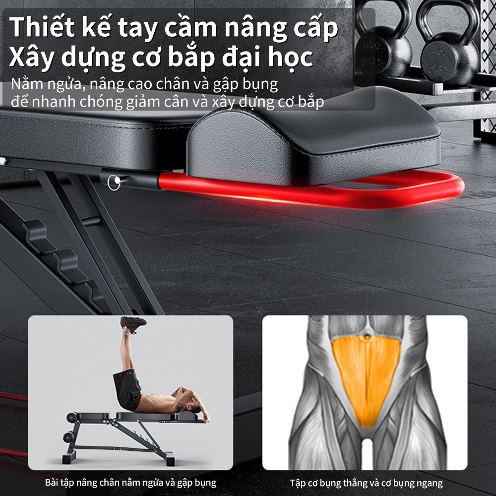Ảnh OneTwoFit Ghế tập gym tập tạ Có thể gấp gọn Ghế tập thể hình tại nhà Có thể đặt quả tạ 4