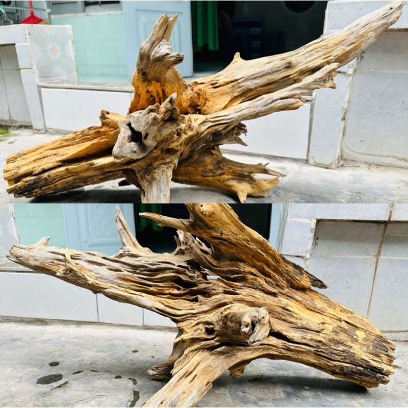 Lũa gỗ setup hồ thuỷ sinh, decor - SHIP HOẢ TỐC TPHCM | Shopee Việt Nam