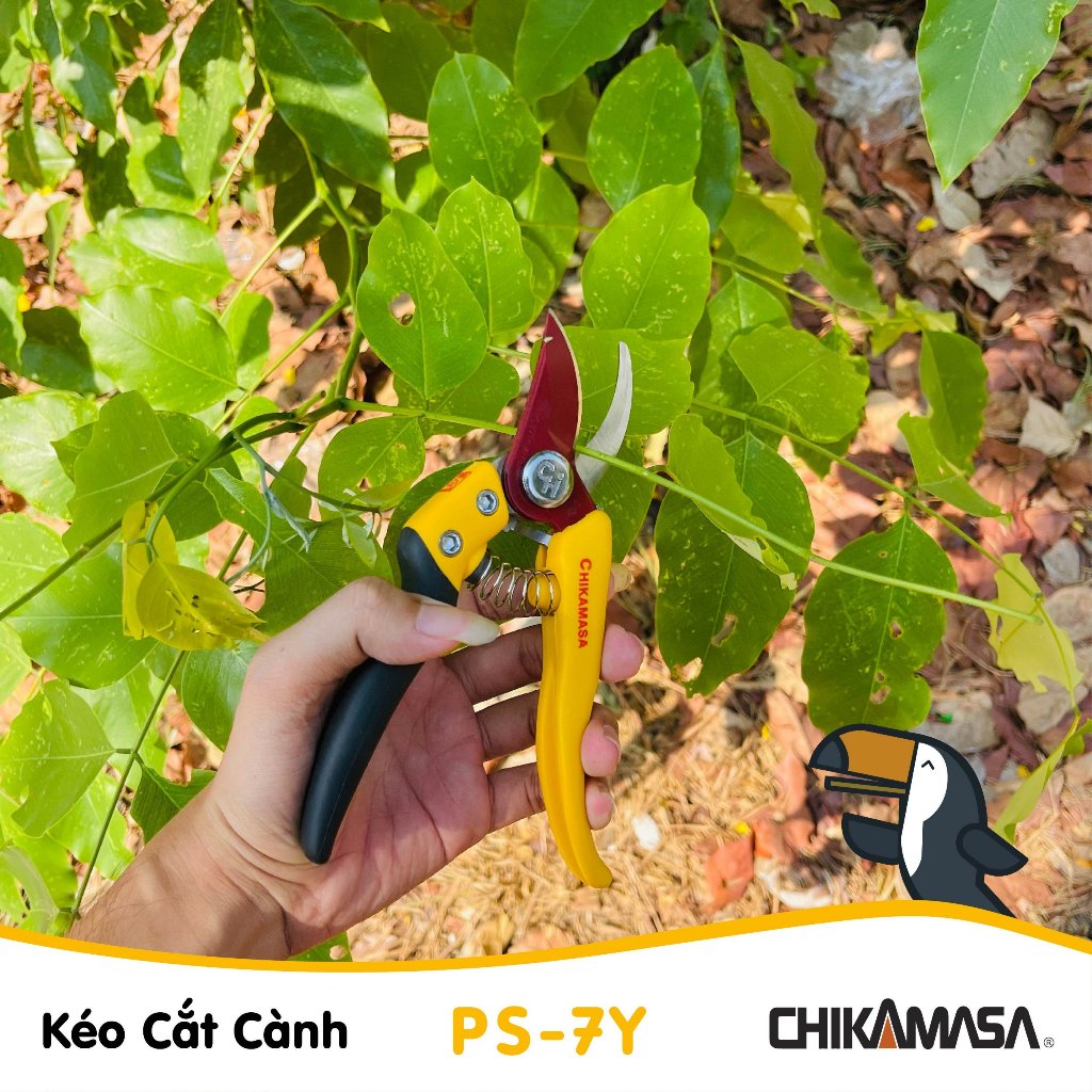 Kéo cắt cành Nhật Bản Chikamasa PS-7Y