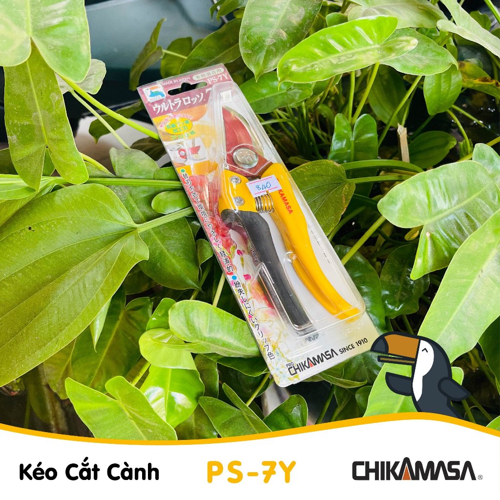 Kéo cắt cành Nhật Bản Chikamasa PS-7Y