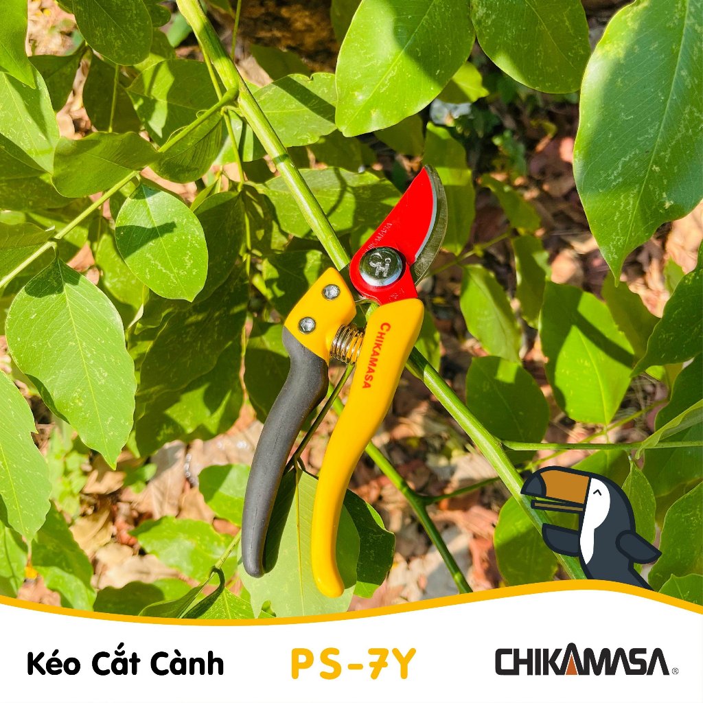 Kéo cắt cành Nhật Bản Chikamasa PS-7Y