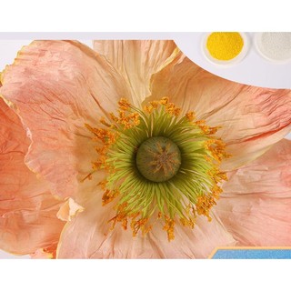 Gói 100g bột nhựa màu dùng làm nhụy hoa, tiểu cảnh, sa bàn và đồ decor