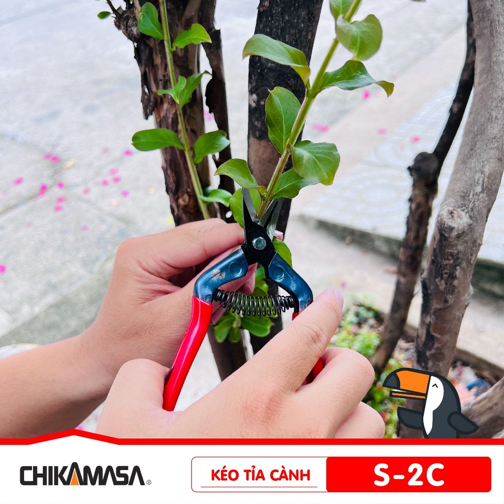 Kéo tỉa cành cao cấp Nhật Bản Chikamasa S-2C  - lưỡi thép carbon chất lượng cao siêu bén