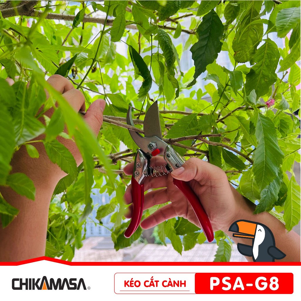 Kéo cắt cành Nhật Bản Chikamasa PSA-G8
