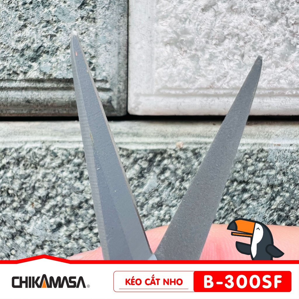 Kéo cắt nho Nhật Bản Chikamasa B-300SF